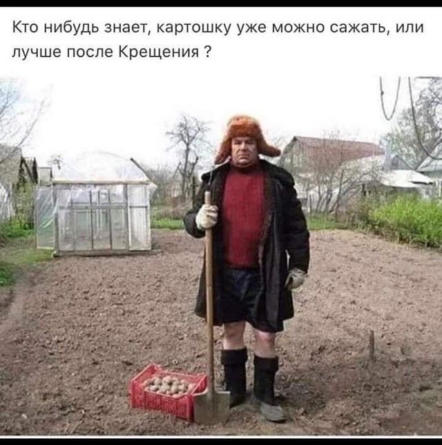 Кто нибудь знает картошку уже можно сажать или лучше после Крещения