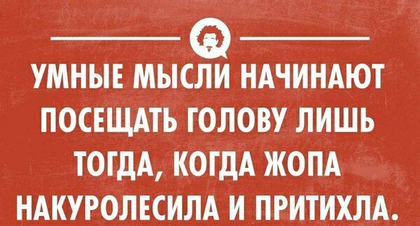 УМНЫЕ МЫСЛИ НАЧИНАЮТ ПОСЕЩАГЬ ГОЛОВУ ЛИШЬ ТОГДА КОГДА ЖОПА НАКУРОЛЕСИЛА И ПРИГИХЛА
