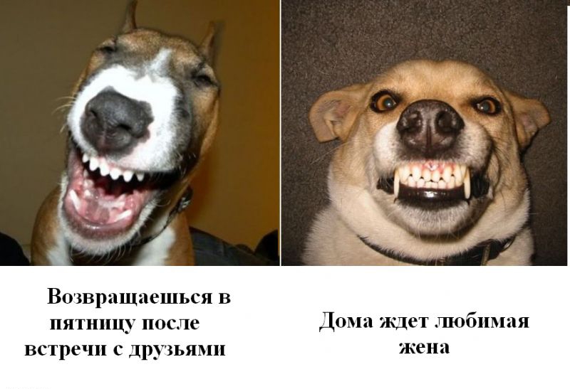 Возвращаешься в пятницу после Дома ищет гпобнмая встречи с друзьями жена