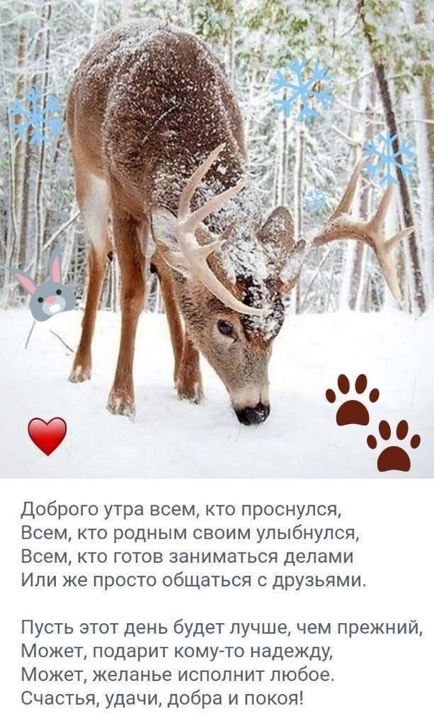 Доброго утра всем кто проснулся Всем кто родным своим улыбнулся Всем кто готов заниматься делами Или же просто общаться с друзьями Пусть этот день будет лучшечем прежний Может подарит кому то надежду Может желанье исполнит любоес Счастья удачи добра и покоя