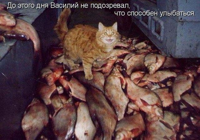 Ёёажсідпий не подозревал и что спцсаб