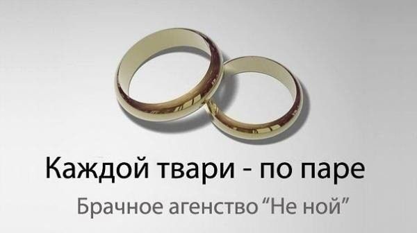 Каждой твари по паре Брачное агенствоНе ной