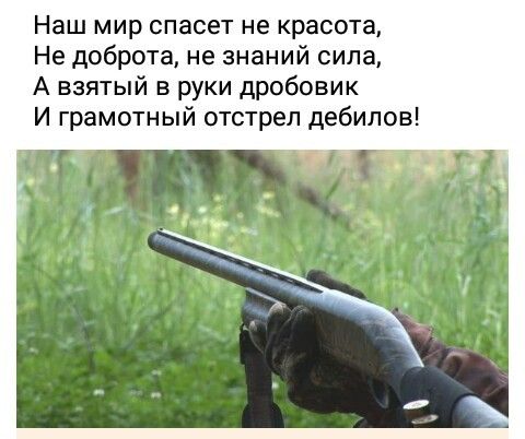 Наш мир спасет не красота Не доброта не знаний сила А взятый в руки дробовик И грамотный отстрел дебилов