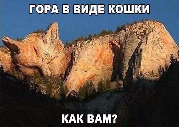 ГОРАВВИДЕКОШКИ КАКВАМ