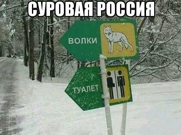 инициативе волки