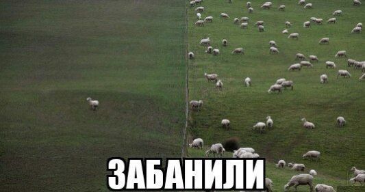 т __ ЗАБШШПИ 1