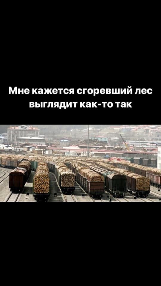 Мне кажется сгоревший лес выглядит как то так