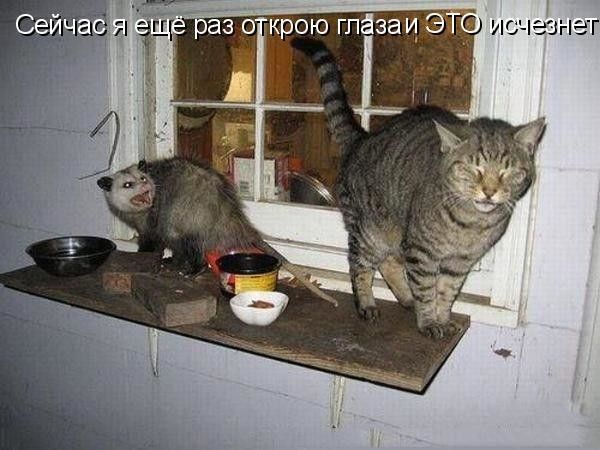 С3і Г