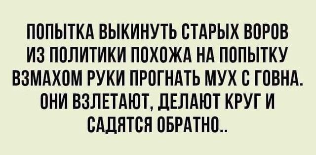 ПОПЫТКА ВЫКИНУТЬ ОТАРЫХ ВОРОВ ИЗ ПОЛИТИКИ ПОХОЖА НА ПОПЫТКУ ВЗМАХОМ РУКИ ПРОГНАТЬ МУХ О ГОВНА ОНИ ВЗЛЕТАЮТ ЛЕЛАЮТ КРУГ И ОАДЯТОН ОБРАТНО