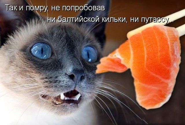 ёк и помру не попробовав