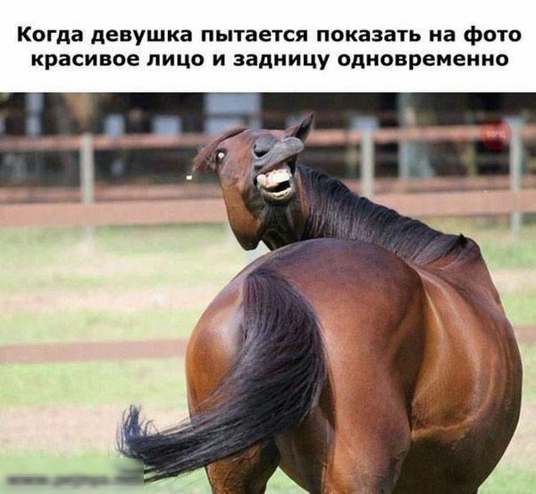 Когда девушка пытаекя показать на фото красивое ЛИЦО И задницу одновременно
