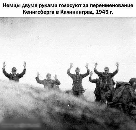 Немцы двумя руками голосуют за переименование Кенигсберга в Калининград 1945 г
