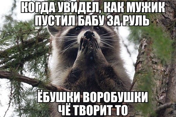 ИПГДИ ВИДЕЛ ИАН МУЖИК дШВТИИ БАБ ЗА РМИЬ тчёжЕБИШИИ воюышіни г чпвогитто