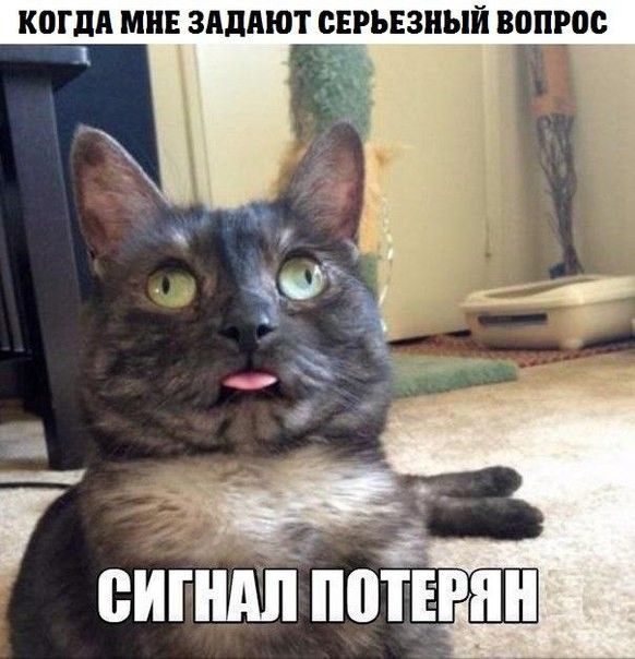 когдн мии зндпют сврыазный вопрос 1 г _ __ сигішппотшн