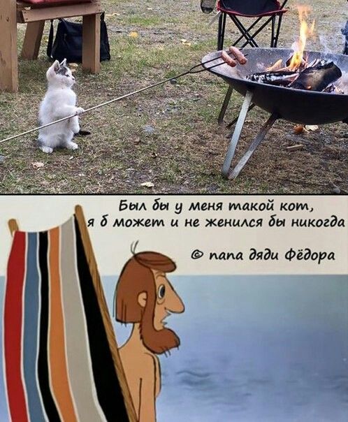 Бри бы у меня такой кот я 6 может и не жениАся бы никогда папа дяди Фёдира
