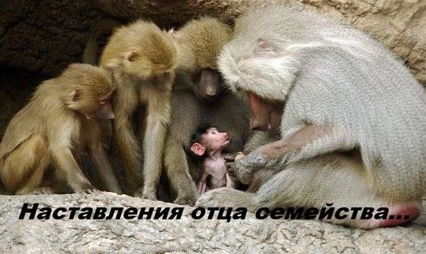 Наставлёния от