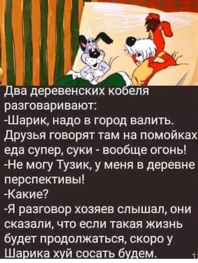 3 два деревенских ко Ёля разговаривают Шарик надо в город валить Друзья говорят там на помойках еда супер суки вообще огонь Не могу Тузик у меня в деревне перспективы Какие Я разговор хозяев слышал они сказали что если такая жизнь будет продолжаться скоро у Шарика ХХЙ СОСЗТЬ будем