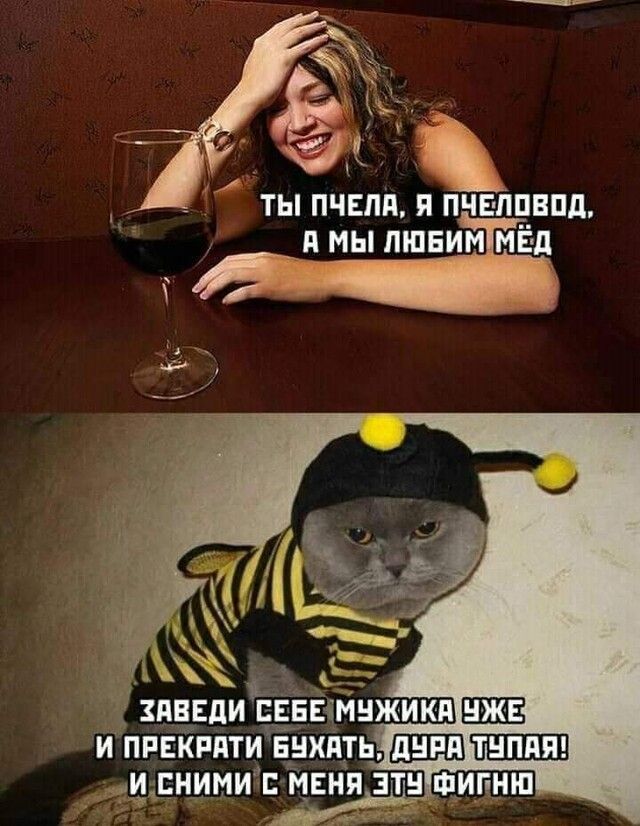 ты пчъпияпчвппвпд в мы тпвим мёд И ппвЁппти _ МЕНИМИ