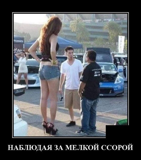 НАБЛЮДАЯ ЗА МЕЛКОЙ ССОРОЙ