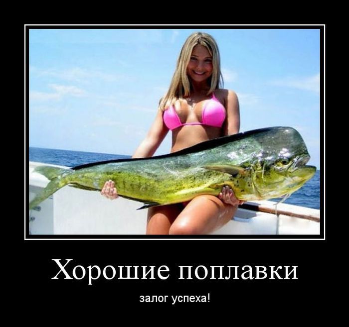 Хорошие поплавки залог успеха