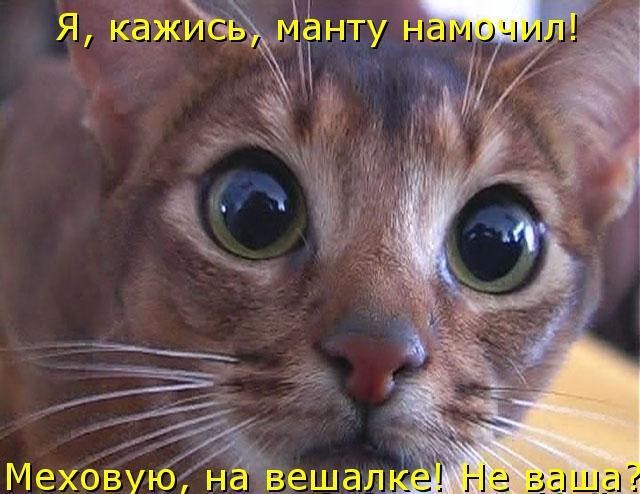 _ Меховую НЁ