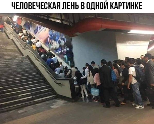 ЧЕЛОВЕЧЕСКАЯ ЛЕНЬ В ОДНОЙ КАРТИНКЕ
