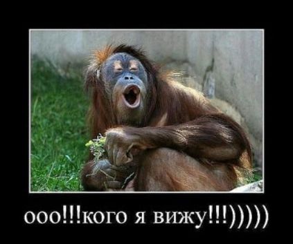 ооокого я втку