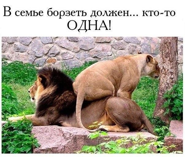 В СЕМЬЕ бОРЗСТЬ ДОЛЖЕН КТО ТО ОДНА