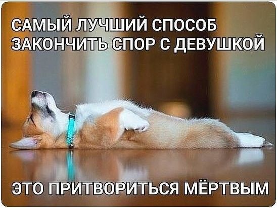 едмы учший спосов ЗА озн ть епор с ДЕВУШ ЭТО ПРИППВЮРИТЬСЯ МЁРТВЫМ