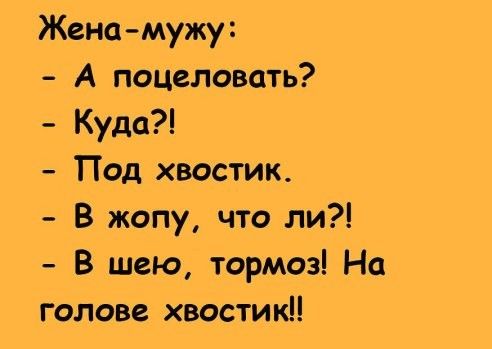 Жена мужу А поцеловать Куда Под хвостИк В жопу что ли В шею тормоз На голове хвостик