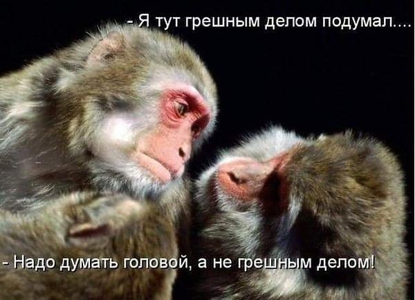 в о думать гопввзй а не е