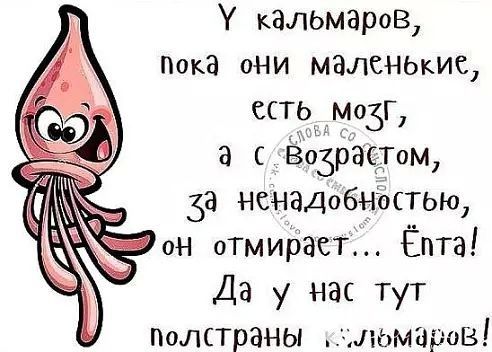 кальмаров Пока они маленыис ссть_мо3г а 363растом за ненадобнъстьщ _ он отмирает Ёпта Да у нас тут Полстраны льмзрав
