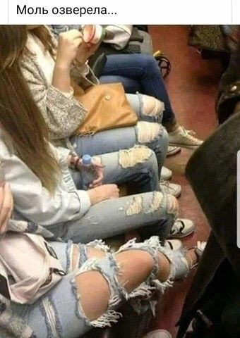 Моль озверепа