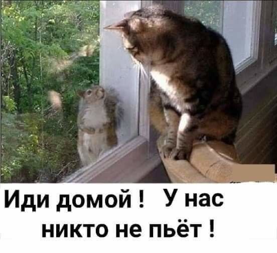 Иди домой У нас никто не пьёт