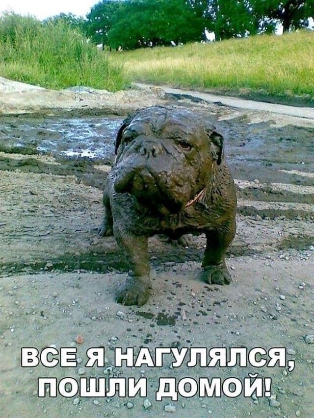 Витька _ щ і