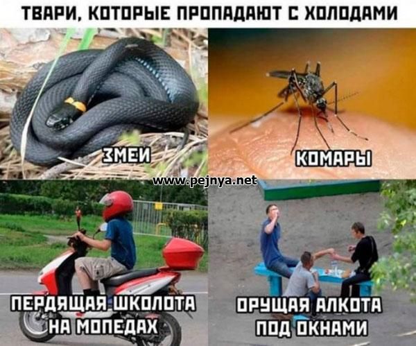 ТВПРИ КПТПРЫЕ ПРППЯДПШТ ХПЛПЛПМИ Ъе1дуап__ь_гз