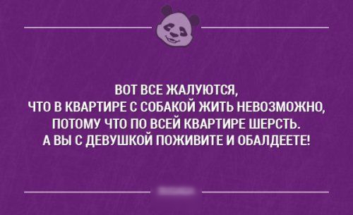 ВОТ ВСЕ ЖАЛУЮТСЯ ЧТО В КВАРТИРЕ с СОБАКОЙ ЖИТЬ НЕВОЗМОЖНО ПОТОМУ ЧТО ПО ВСЕЙ КВАРТИРЕ ШЕРСТЬ А ВЫ С ДЕВУШКОЙ ПОЖИВИТЕ И ОБАЛДЕЕГЕ
