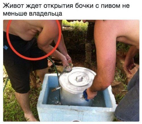 Живот ждет открытия бочки с пивом не меньше владельца