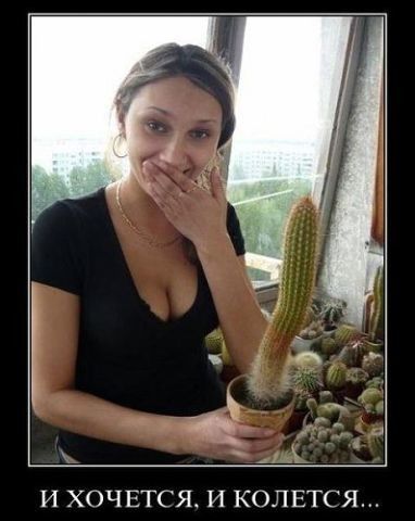 И ХОЧЕТСЯ И КОЛЕТСЯ