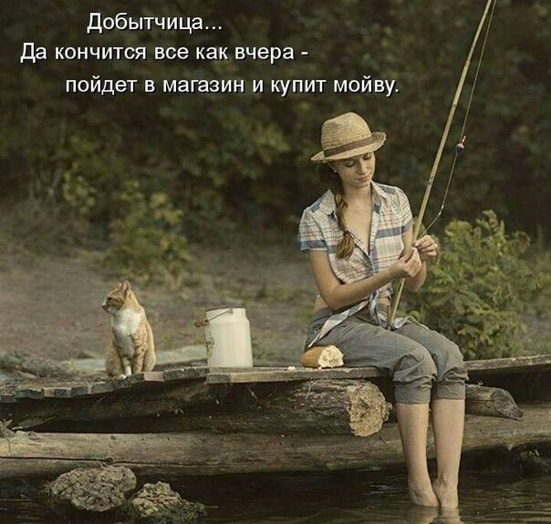 добытчица да кончится все как вчера пойдет в магазин и купит мойву