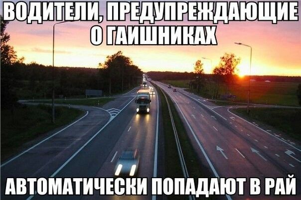 73 5 двтомдтичюни попдддют В РАИ