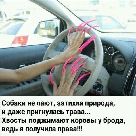Собаки не лают затихла природа и даже пригнулась трава Хвосты поджимают коровы у брода ведь я получила права