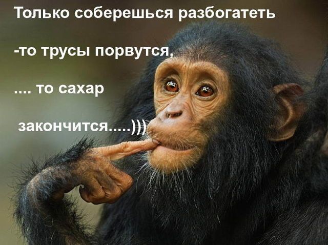 Только соберешься разбогатеть