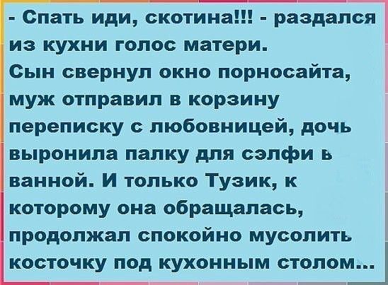 Спать иди скотина раздалЁ из кухни голос матери Сын свернул окно порносайте муж отправил в корзину переписку любовницей дочь выронила папку для сэлфи ь ванной И только Тузик к _ которому она обращалась И продолжал спокойно мусолить косточку под кухонным столом