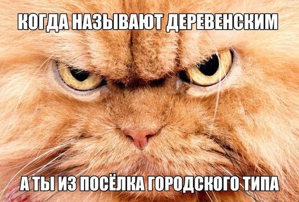 НАЗЫВАЮТД
