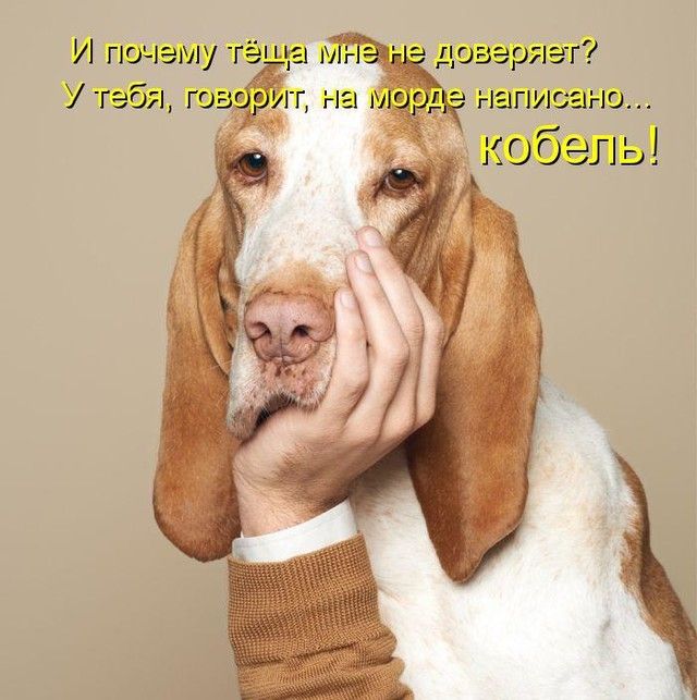 И почему У тебя гсвг чёт написано