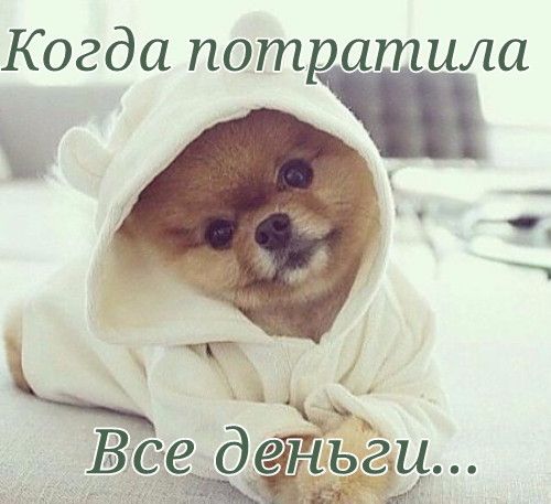 Когда потратила