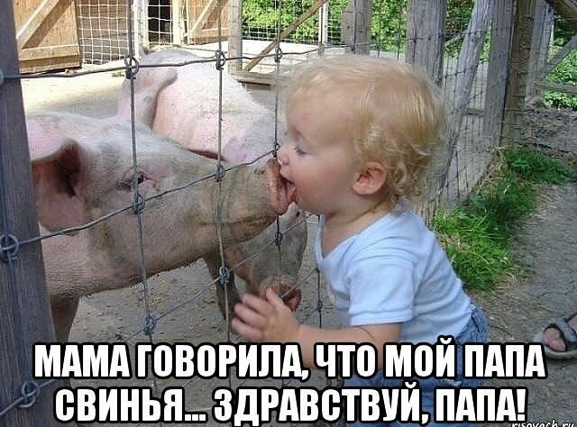 мдмд товарищ ЧтЪ ЩойдЁдпд пвиньпздгдветвпи пдпд_