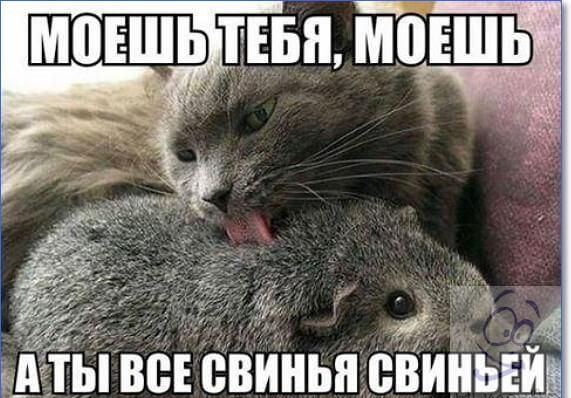 Ы ВЁЕ ііііііііыі ВВИііЬЕіі