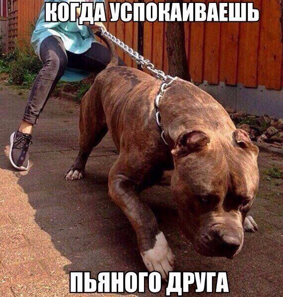 У в _д г 0 пп в